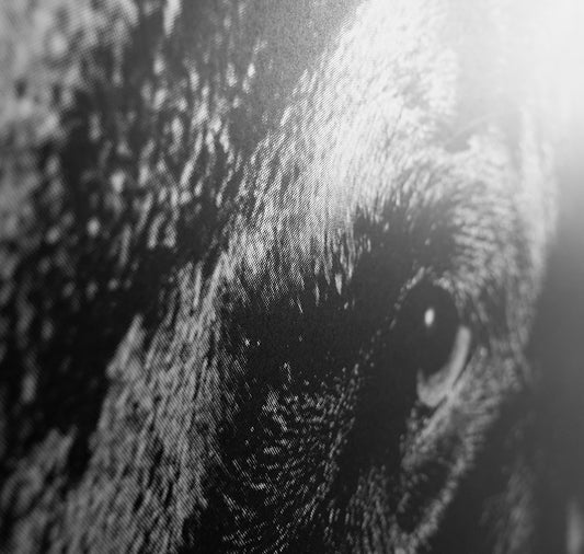 Edition3000 - Siebdruck von Cyrill Matter "Untitled"