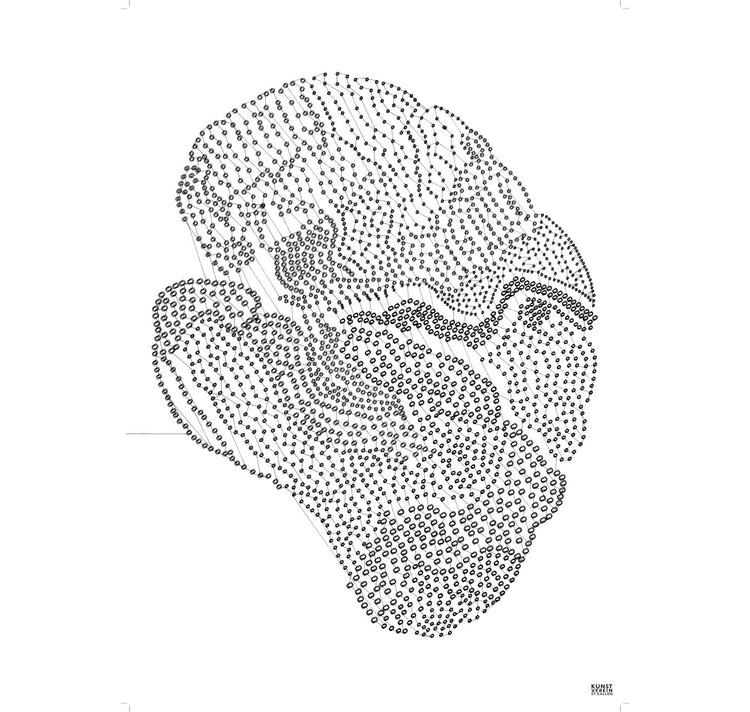 Kunstverein St. Gallen - Monatsposter "Salome Schmuki - Cloud"