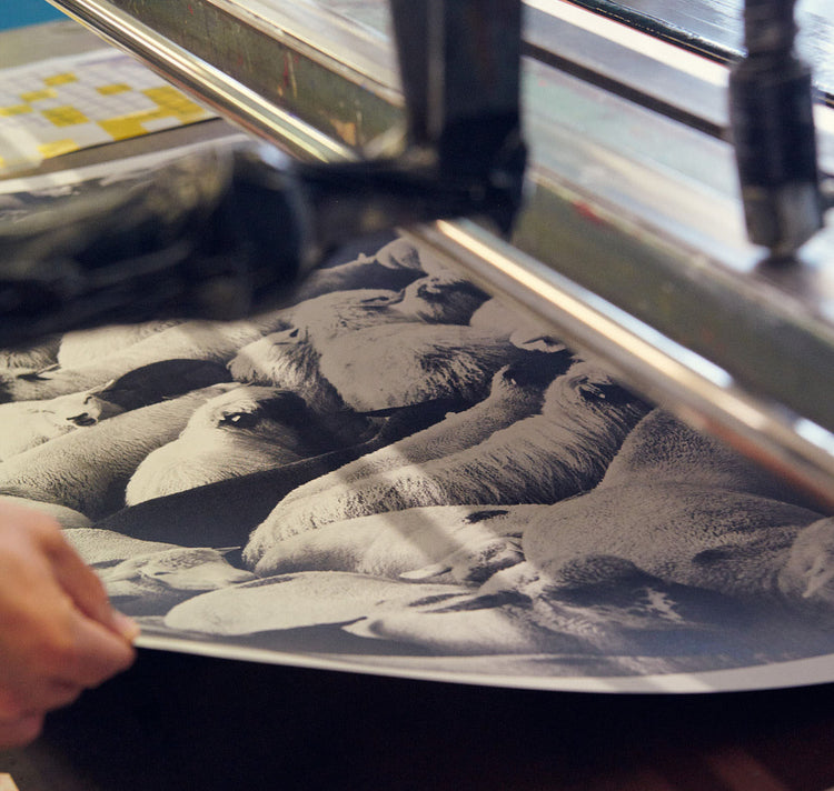 Edition3000 - Tirage Offset "Analogique 1"