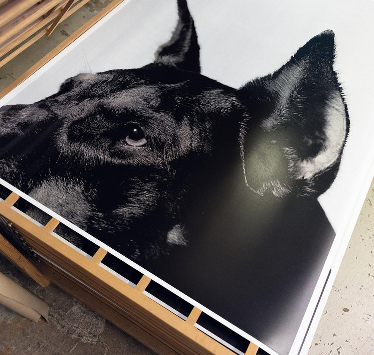 Edition3000 - Tirage Offset "Analogique 1"