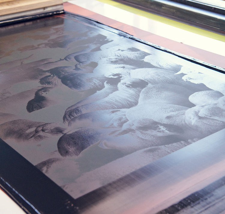 Edition3000 - Tirage Offset "Analogique 1"