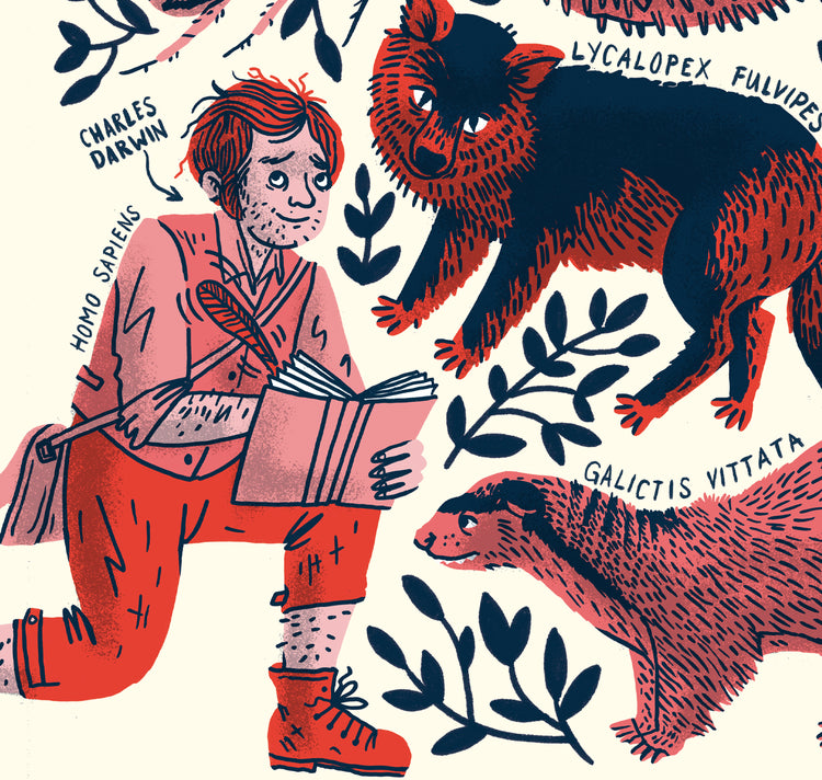 Eva Rust - Affiche "Le voyage du beagle de Darwin"