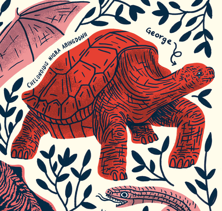 Eva Rust - Affiche "Le voyage du beagle de Darwin"