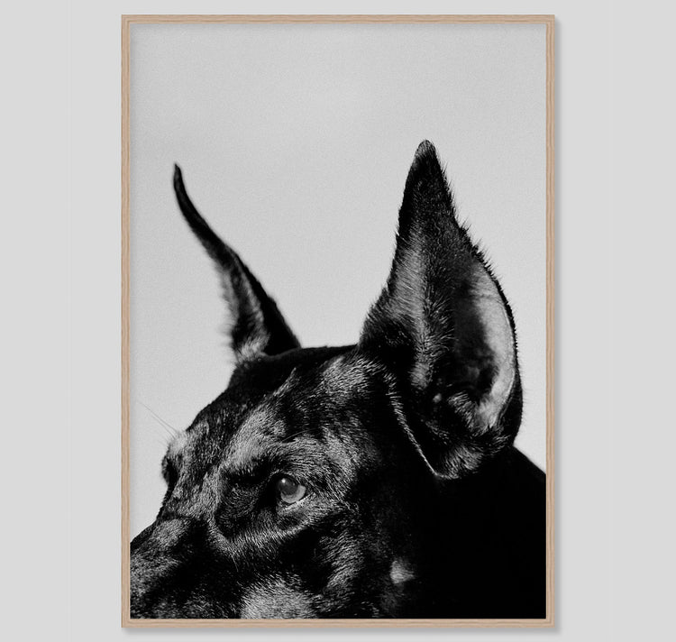 Edition3000 - Tirage Offset "Analogique 1"