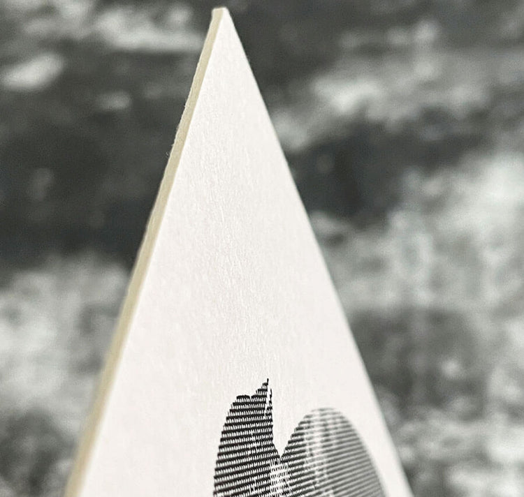 Clarissa Schwarz – Set di 3 cartoline "Uccello"