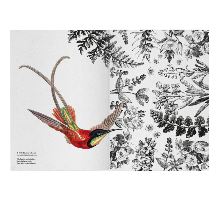Clarissa Schwarz – Notizheft "Moonbird"