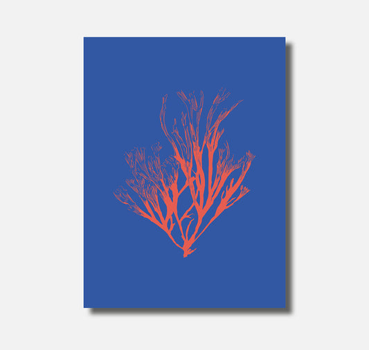 Claudia Schildknecht - Plakat - "Blue Bayou 1"
