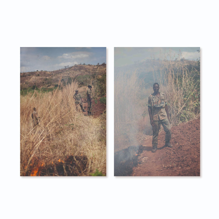 Claudia Schildknecht - Set de cartes postales - Oeuvre visuelle "Thuma`s Last Standing"