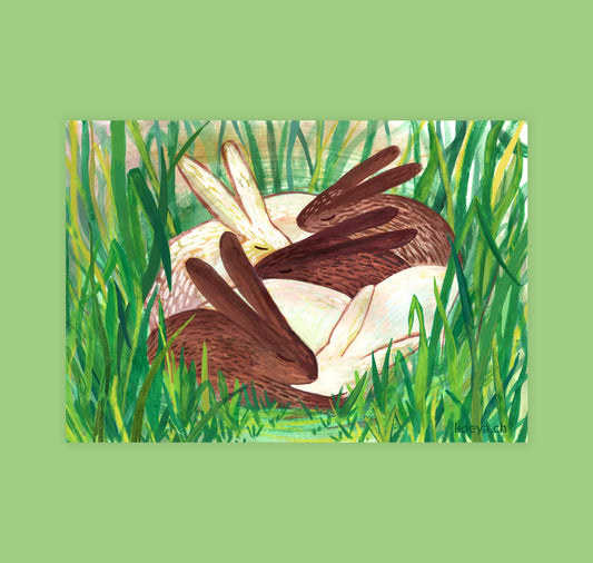 Yasmin König - Postkarte "Hasenknäul"