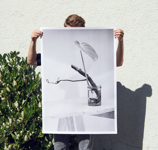 Edition3000 - Siebdruck "Hydra"