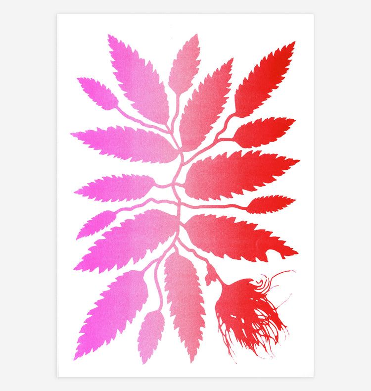 Itay Blaish - Plakat "Alpen Farns"