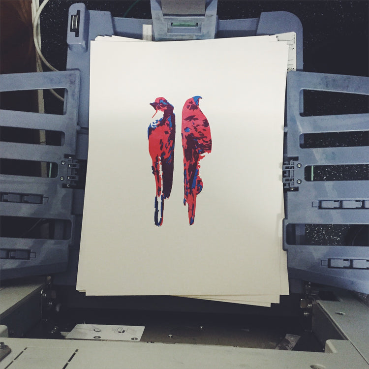 Itay Blaish - Affiche "Oiseaux"