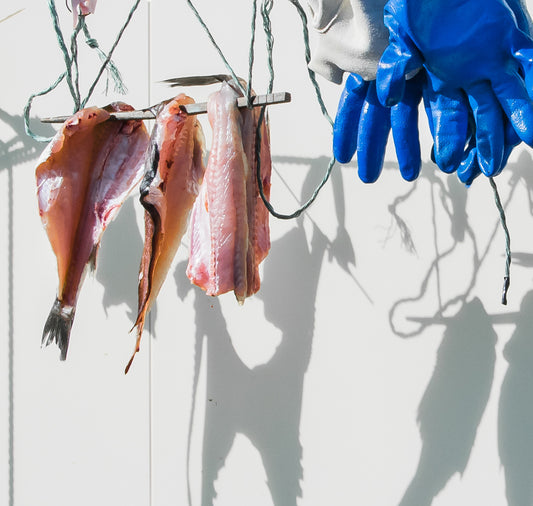 Jil Kugler - Plakat "Nihon Series - Laundry"