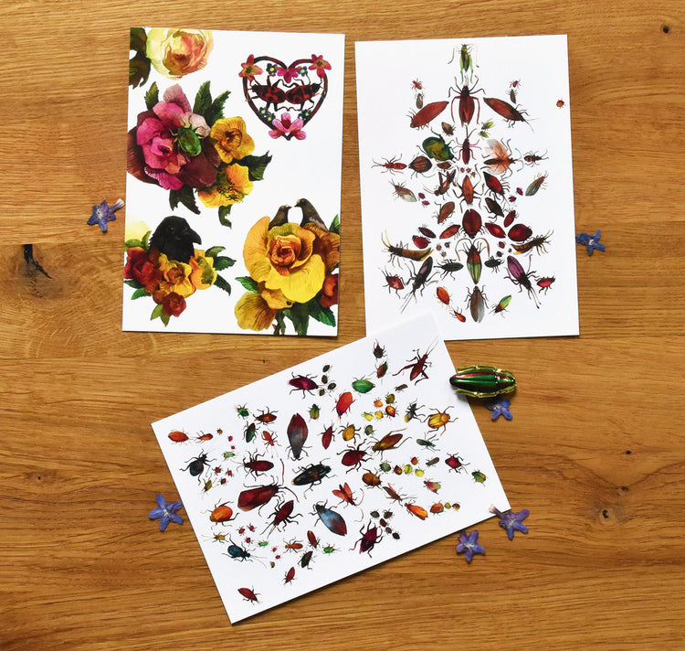 Mirjam Graser - Set di cartoline "Festival degli scarabei"
