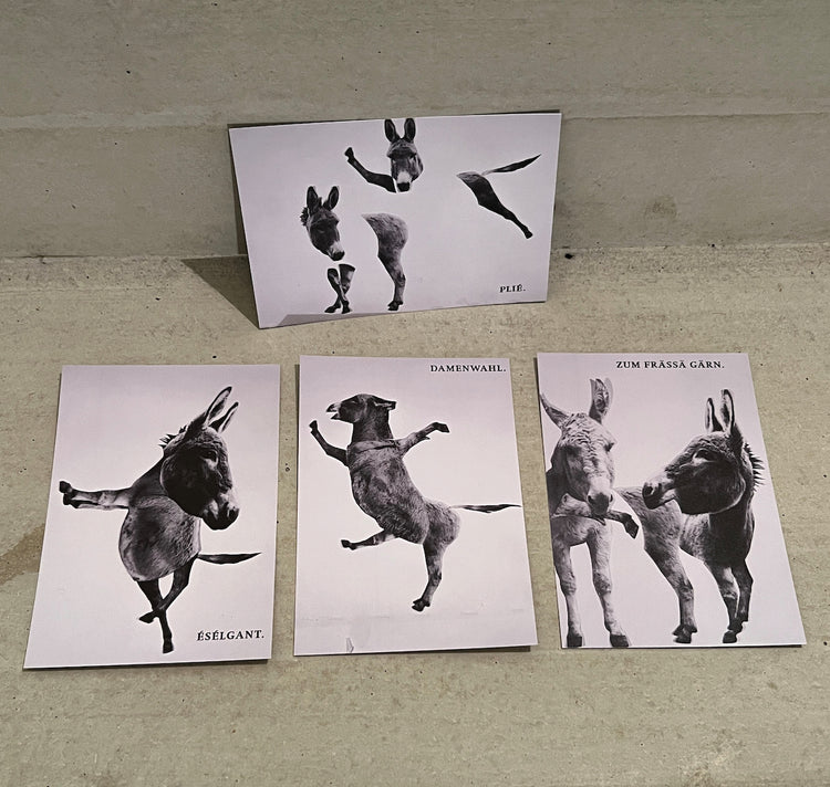 Concept art - Jeu de 4 cartes "PLIÉ"