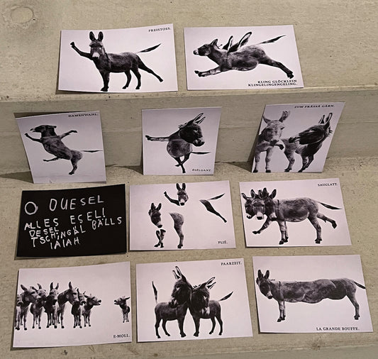 Konzept-Kunst - Kartenset "O DU ESEL"