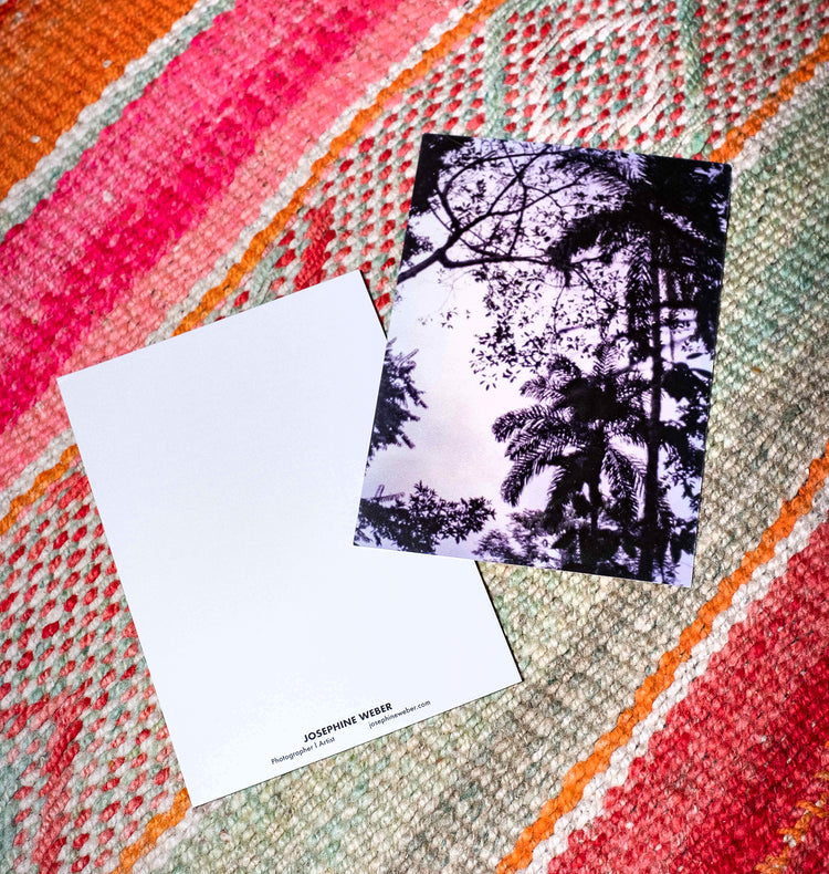 Josephine Weber - Postkarte N°1