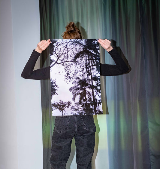 Joséphine Weber - Affiche "La Selva"