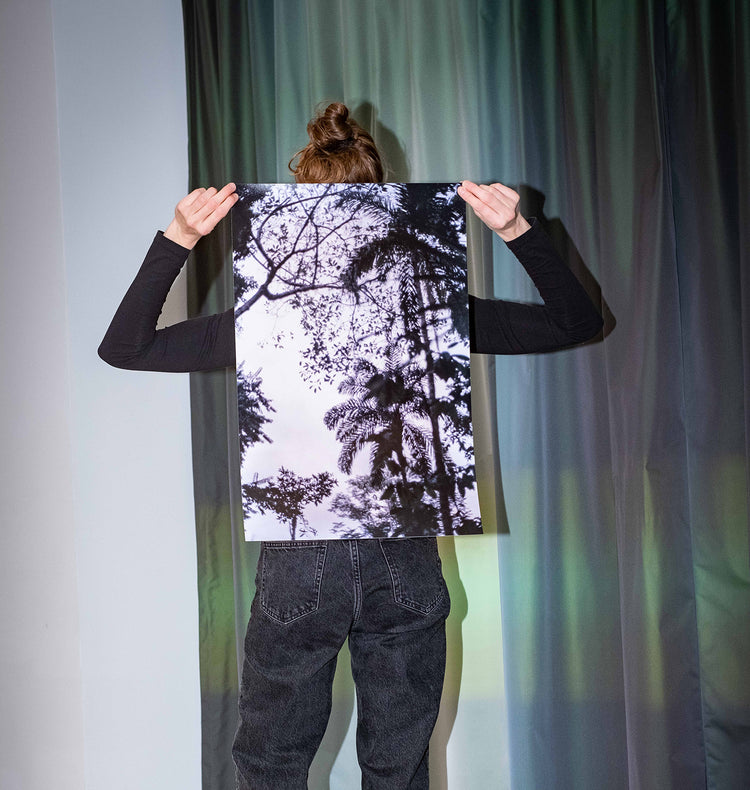 Joséphine Weber - Affiche "La Selva"