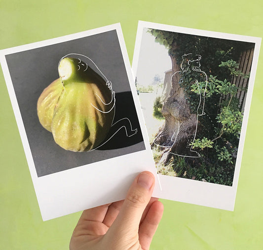 Rina Jost - Postkartenset "Füdli" - 5 Arschkarten