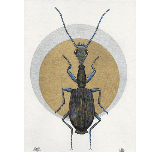 SOPE - Original " kartoffelkäfer"