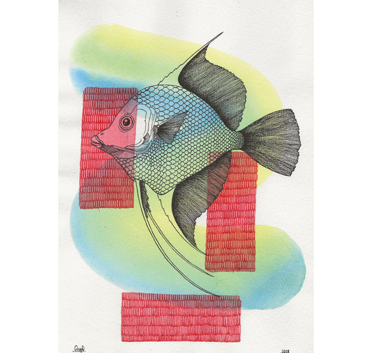 SOPE - Original "Skalar"