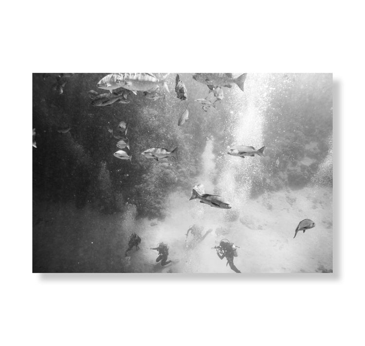 Claudia Schildknecht “Terra Icognita N°1” Fotografia