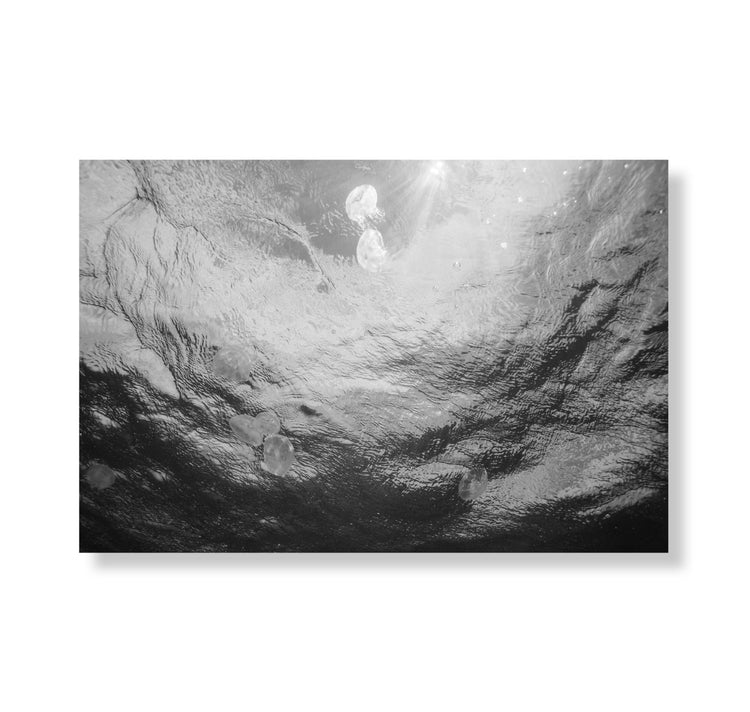 Claudia Schildknecht « Terra Unown N°2 » photographie