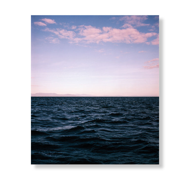 Claudia Schildknecht "Ci vediamo dopo, Zooxanthellae! N°2" Fotografia