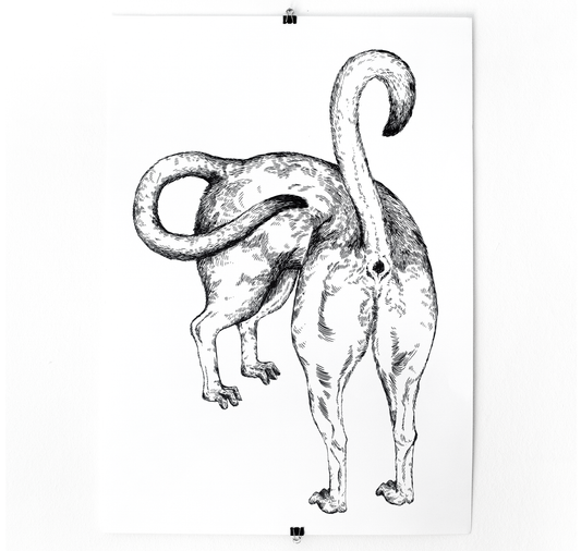 Amélie Cochet - Manifesto "Twobutt"