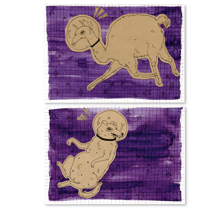 Amélie Cochet - Postkartenset "Space-Dudes Lama & Dog"