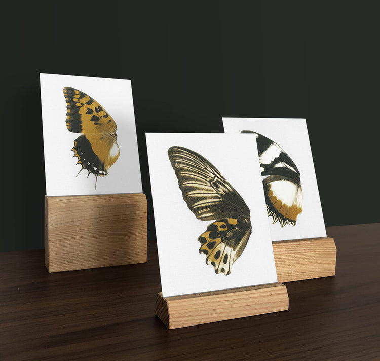 Bienvenue Studios - Wood Card Holder Short