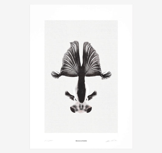 Bienvenue Studios - Affiche "Morbid Being No 5"