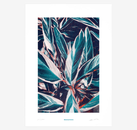 Bienvenue Studios - Poster "Mani in preghiera n. 1"