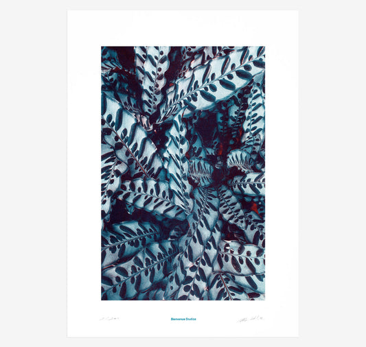 Bienvenue Studios - Poster "Mani in preghiera N° 5"