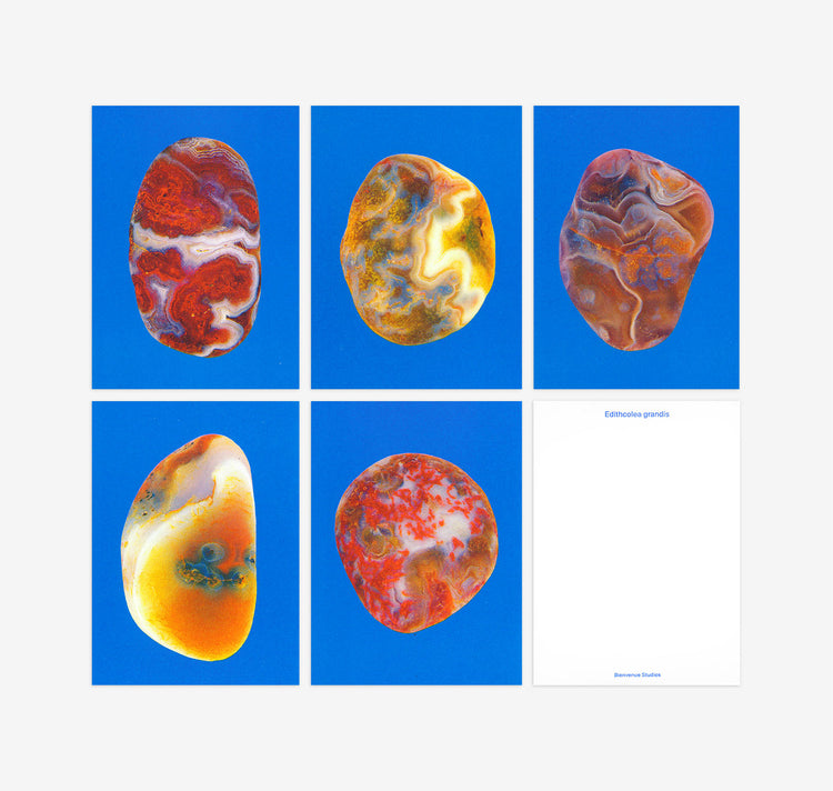 Bienvenue Studios - Jeu de cartes "Riverstones"