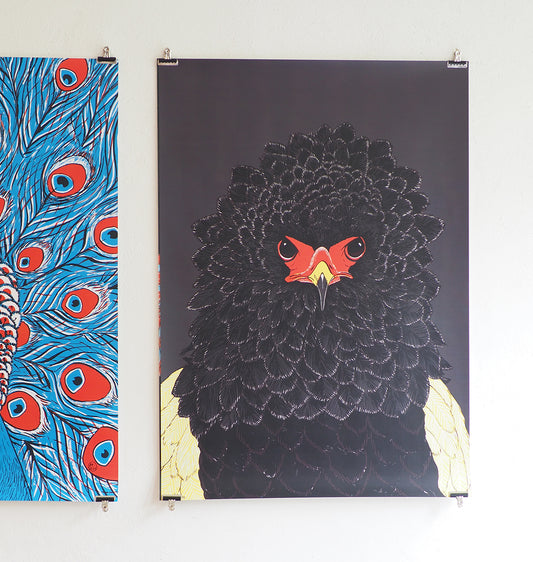 Andrea Peter - Affiche "Gaukleradler"