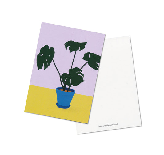 Jolanda Epprecht - Set de cartes postales "Plantes d'intérieur"