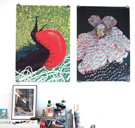 Andrea Peter - Affiche "Frégate Oiseau"