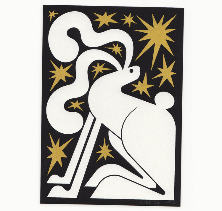 Joël Roth - Cartolina "Lepre delle nevi"