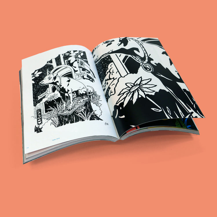 LAIN – libro “VISUAL EXPLORER”