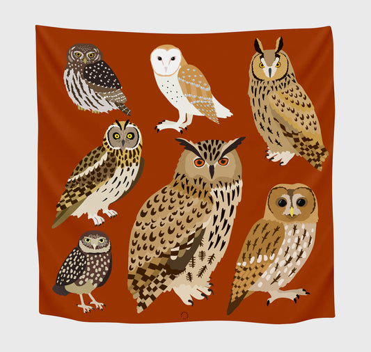 Lisa Voisard - Foulard "Eulen"