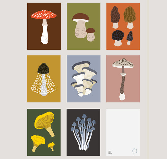 Lisa Voisard - Postkartenset "Pilze"