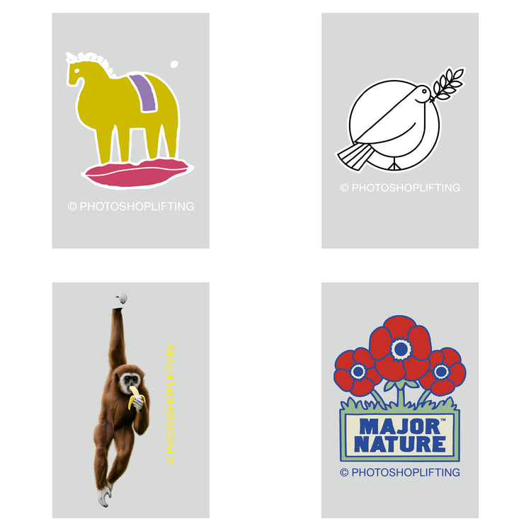 LAIN - Affiche "Devenir Stupide"