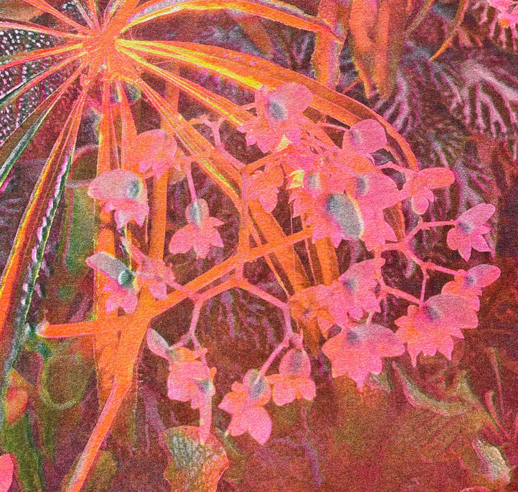 Aline Meier  - Plakat "SINGAPUR 2"