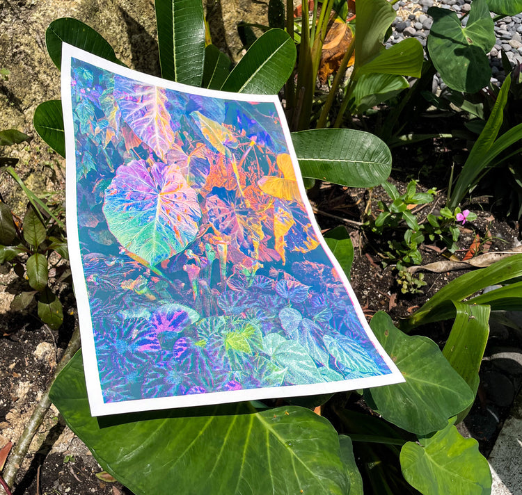 Aline Meier  - Plakat "SINGAPUR 1"