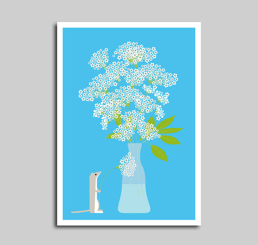 Anna-Lisa Schneeberger - Poster "Sambuco"