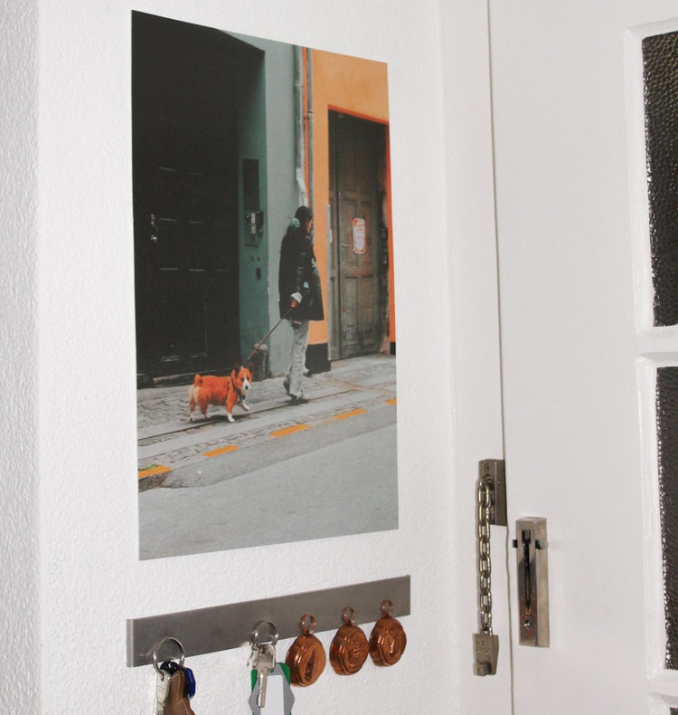 Saliso Print - Plakat "Doggo"