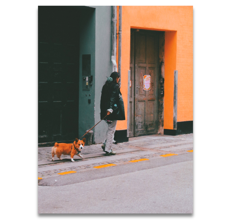 Saliso Print - Plakat "Doggo"