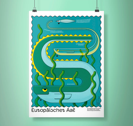 Fabienne Paul - Plakat "Europäischer Aal"